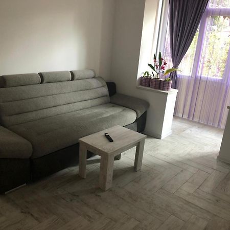 Parc Daire Piteşti Dış mekan fotoğraf